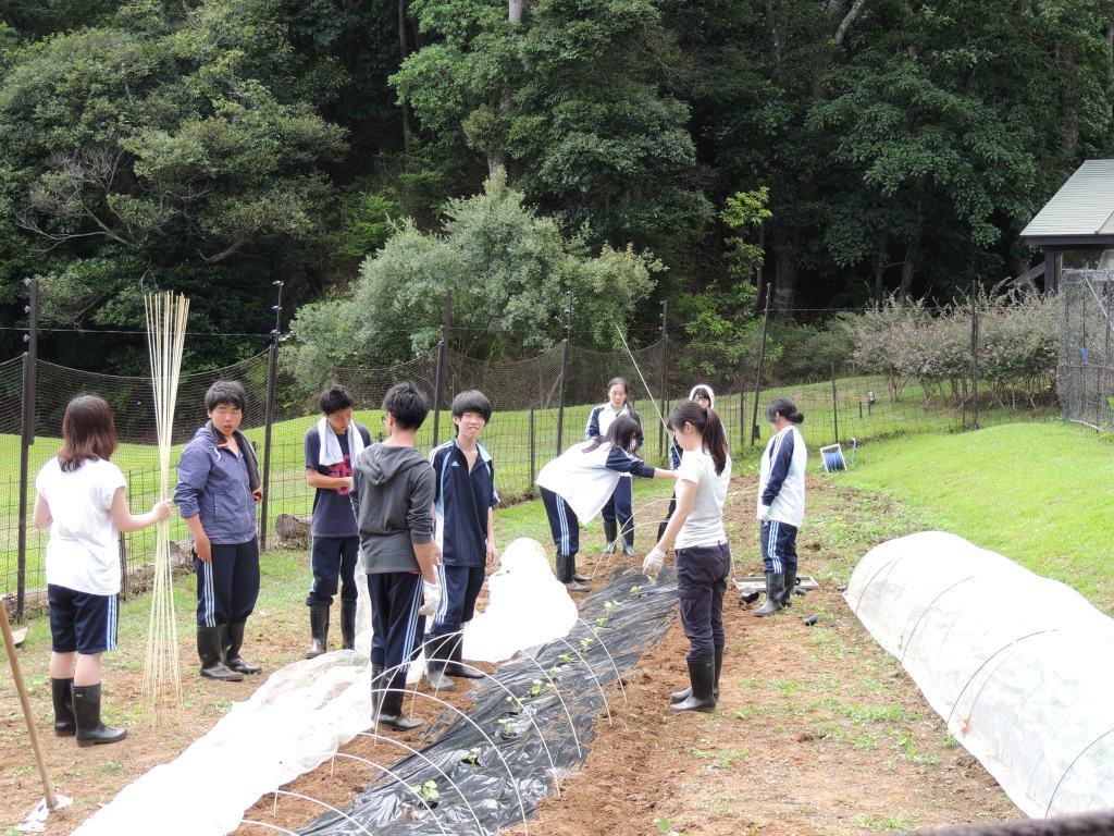 関東国際高等学校画像