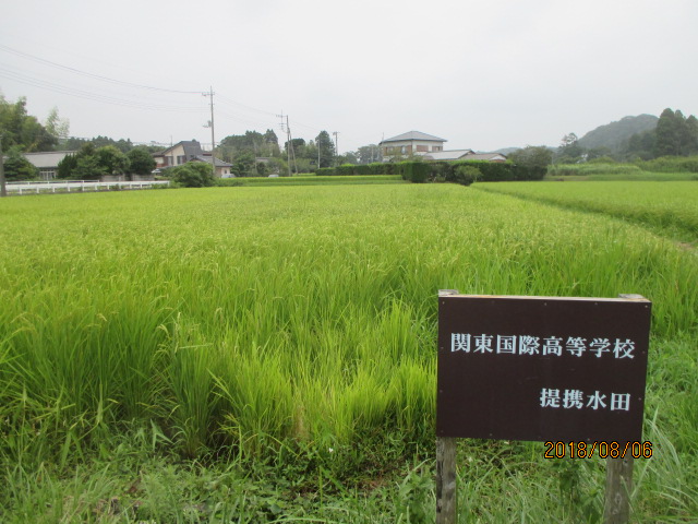 関東国際高等学校校内画像